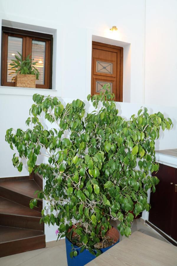 Angelica's Deluxe Rooms in Adamas Buitenkant foto